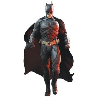 Batman the Dark Knight Standup
