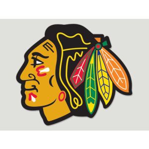 Chicago Blackhawks Wincraft Die Cut Color Decal 8in X 8in