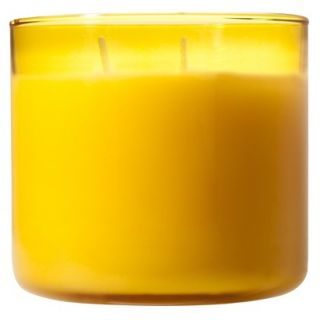 MELT Glass Candle   Lemon Verbena/Sage