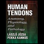 Human Tendons  Anatomy, Physiology, and Pathology