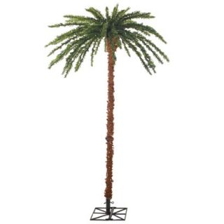 Lighted Palm Tree   7