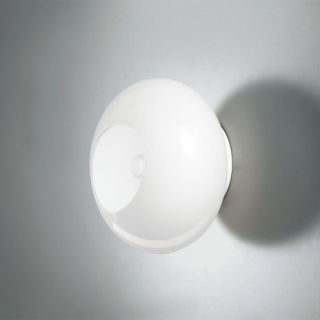 Noa Wall or Ceiling Light