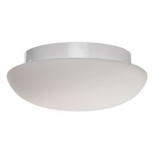 Loft Ceiling Light