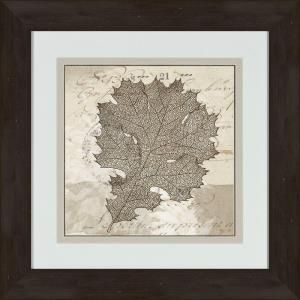 17 in. x 17 in. Sophisticated Botany C Framed Wall Art 1 10412C