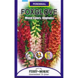 Ferry Morse 250 mg Foxglove Mixed Colors Seed 1052