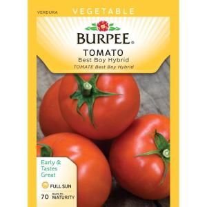Burpee Tomato Best Boy Hybrid Seed 66143