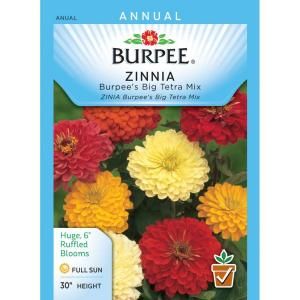 Burpee Zinnia Big Tetra Mix Seed 33657