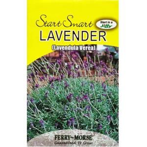 Ferry Morse 300 mg Lavender Seed 2017