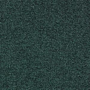 Martha Stewart Living Boscobel I   Color Holly Leaf 12 ft. Carpet 855HDMS139