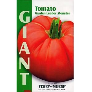 Ferry Morse 250 mg Giant Garden Leader Monster Tomato Seed 2141
