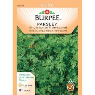 Burpee Parsley Single Italian Plain Leafed Seed 66084