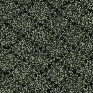 SoftSpring Airbrushed   Color Willow Mist 12 ft. Carpet 6844 PT04 1200 H2