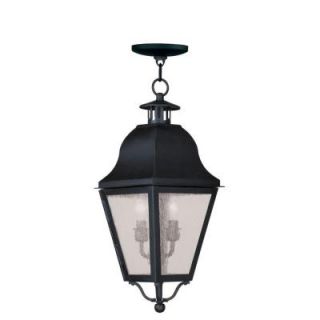 Filament Design Providence 2 Light Hanging Outdoor Black Incandescent Lantern CLI MEN2546 04
