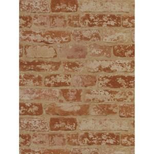 York Wallcoverings 56 sq. ft. Up The Wall Wallpaper PA5466RB