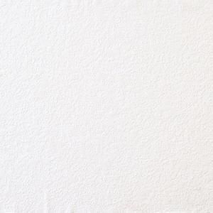 PAINTABLES Paintable Solutions III 56 sq. ft. Stucco Wallpaper 93965