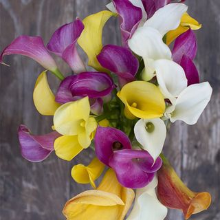 The Bouqs Company Dragonfly Deluxe Calla Lilies Flower Bouquet