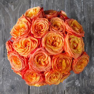 The Bouqs Company Dawn Deluxe Orange Roses Flower Bouquet