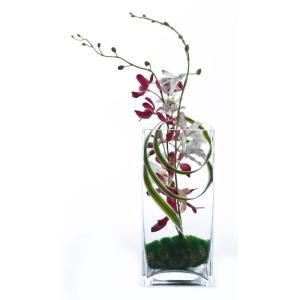 Artesia Designs White and Pink Orchids Floral Arrangement 81204001