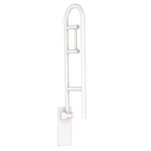 MOEN Home Care 30 in. x 1 1/4 in. Flip up Screw Grab Bar with Paper Holder in White R8962FDW