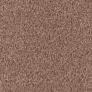 SoftSpring Ravishing II   Color Acorn Cap 12 ft. Carpet 0369D 29 12