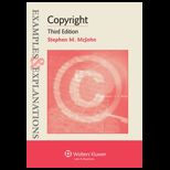 Copyright Examples and Explanations