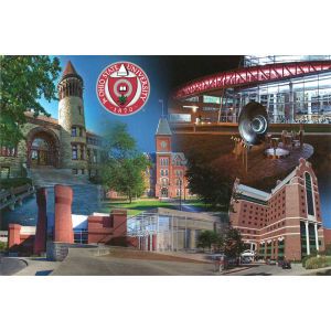 Ohio State Buckeyes Postcard
