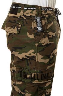 DGK Pants AR 15 Cargo in Woodland Camo