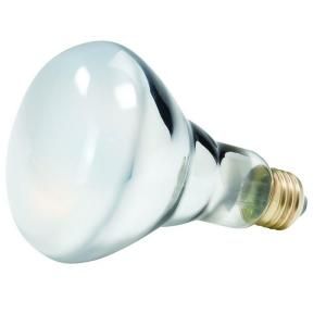 Philips 40 Watt Halogen BR30 Flood Frosted Soft White (2700K) Light Bulb (12 Pack) 213595