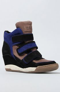 Ash Shoes The Alex Sneaker in Black Stone Cobalt Suede