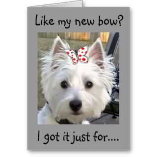 TERRIER LOOKING PRETTY FOR YOUR BIRTHDAY GREETING CARD