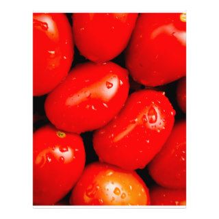 Fresh Tomatoes Flyers