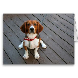 Cute Beagle Pup Greeting Card