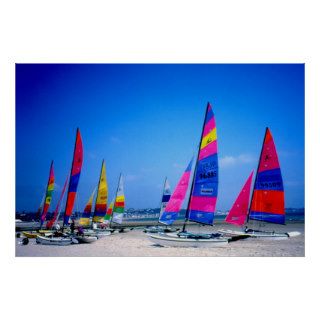 Many Hobie sailing boats in Jersey Poster