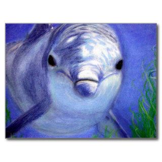 Dolphins Drawing Blue Dolphin Underwater Picture Postcard