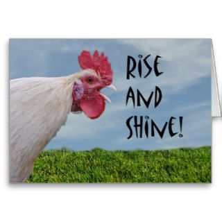 Humorous Chicken Rise and Shine Happy Birthday Card