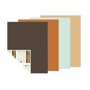 YOLO Colorhouse 12 in. x 16 in. New Nostalgia Trend Palette Pre Painted Big Chip Sample (4 Pack) 223431