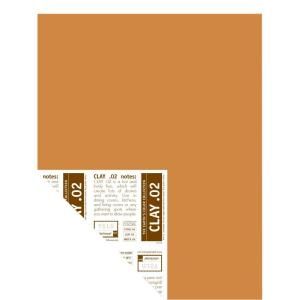 YOLO Colorhouse 12 in. x 16 in. Clay .02 Pre Painted Big Chip Sample 221222
