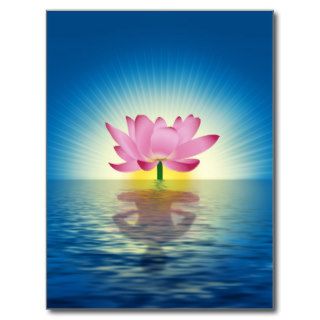 Lotus Reflection Postcard
