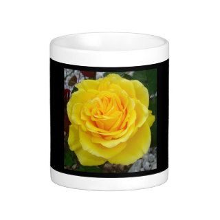 Head On View Of A Yellow Rose With Garden Backgrou Coffee Mugs