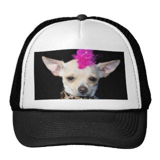 Chihuahua Punk Mesh Hat