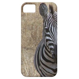 Zebra iPhone 5/5S Case