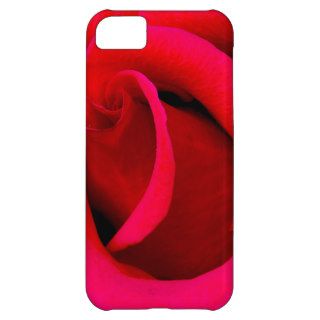 Red Rose macro iPhone 5C Cover