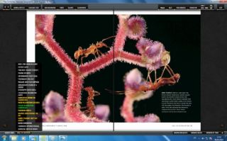 The Complete NATIONAL GEOGRAPHIC   123 Years Software