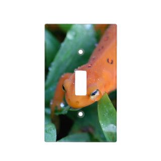 Red Eft Orange Salamander Nature Switch Plate Cover