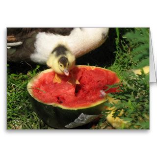 watermelon anyone? card