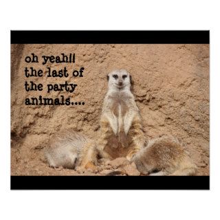 funny meerkat poster, Party Animal