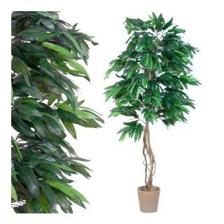 Mangobaum, Echtholzstamm, Kunstbaum, Kunstpflanze   180 cm Küche & Haushalt