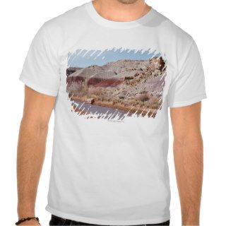 Badlands near Caineville, Utah Tshirts