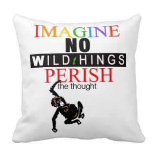 IMAGINE   Pillow