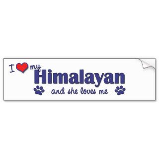 I Love My Himalayan (Female Cat) Bumper Stickers